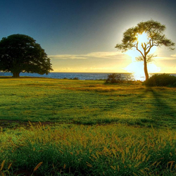 On-Grid Solar System Services in Chennai